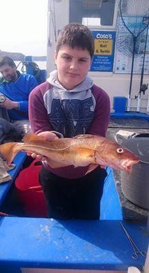 2 lb Cod by Unknown