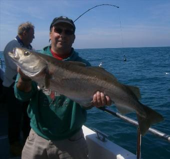 12 lb 4 oz Pollock by Unknown