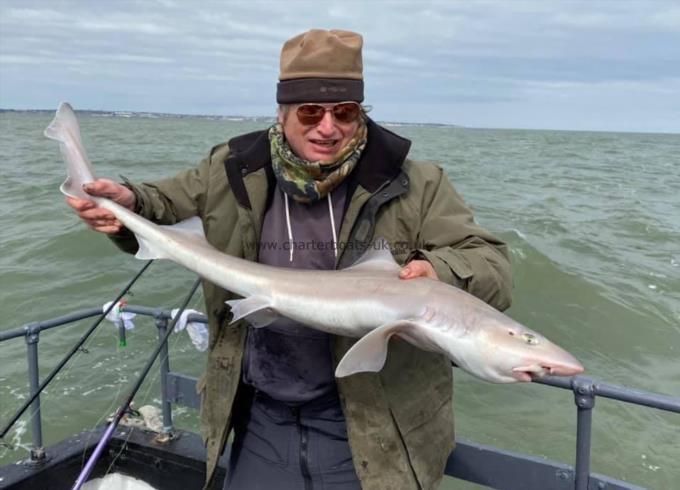 8 lb Smooth-hound (Common) by Unknown