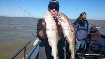 4 lb Cod by Martin from Essex