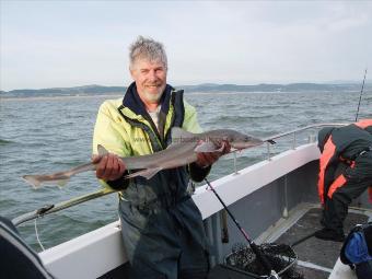 7 lb Smooth-hound by Paul
