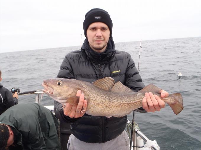 4 lb 2 oz Cod by Unknown