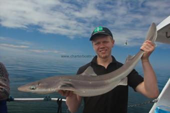 14 lb Spurdog by Harry