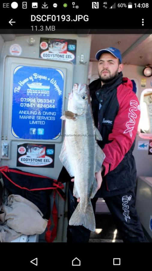 16 lb Pollock by Unknown