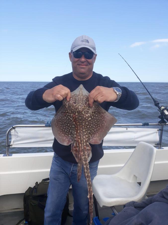 4 lb Thornback Ray by Matt