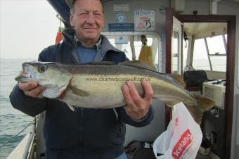 7 lb Pollock by Stephen Wake