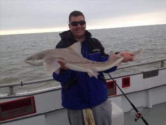 17 lb Smooth-hound by Unknown