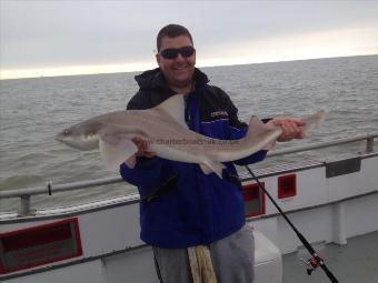 17 lb Smooth-hound (Common) by Unknown