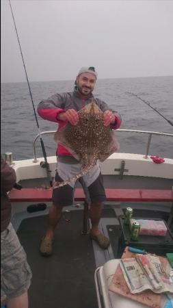 12 lb 4 oz Thornback Ray by Unknown