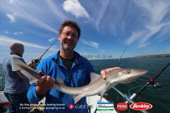 5 lb Starry Smooth-hound by Paul
