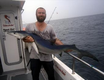 49 lb Blue Shark by Unknown