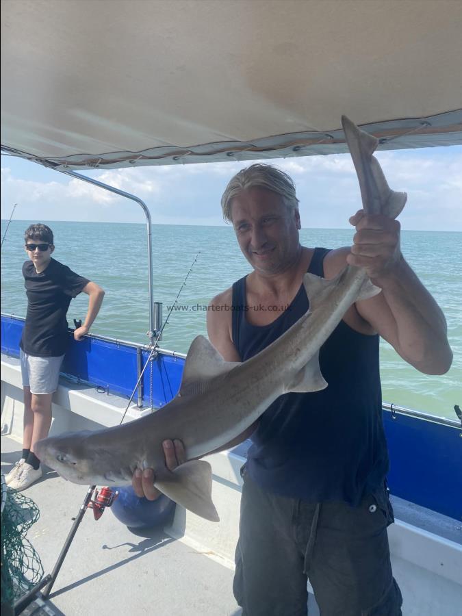 11 lb 3 oz Smooth-hound by Julian