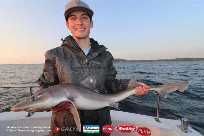 10 lb Starry Smooth-hound by Lewis