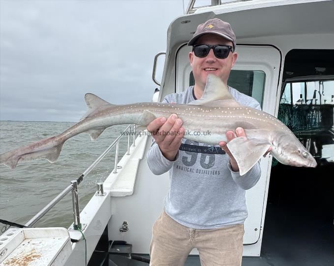 8 lb 8 oz Starry Smooth-hound by Mike