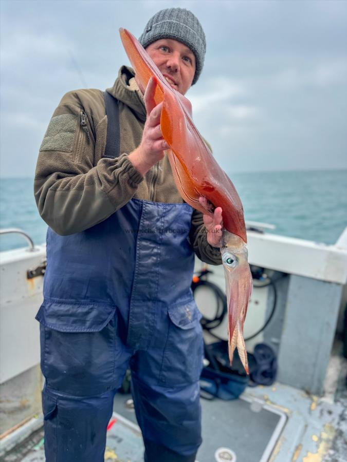 4 lb 7 oz European Squid by Sean Moran
