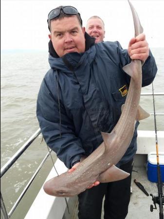 9 lb Smooth-hound (Common) by Kevin