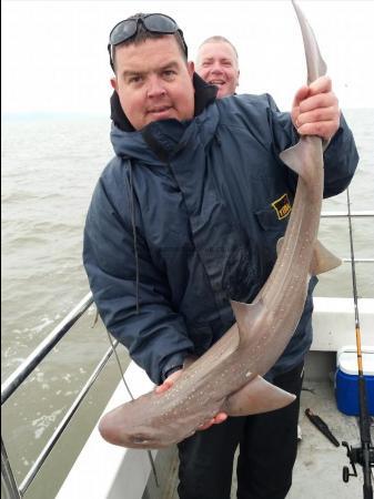 9 lb Smooth-hound by Kevin