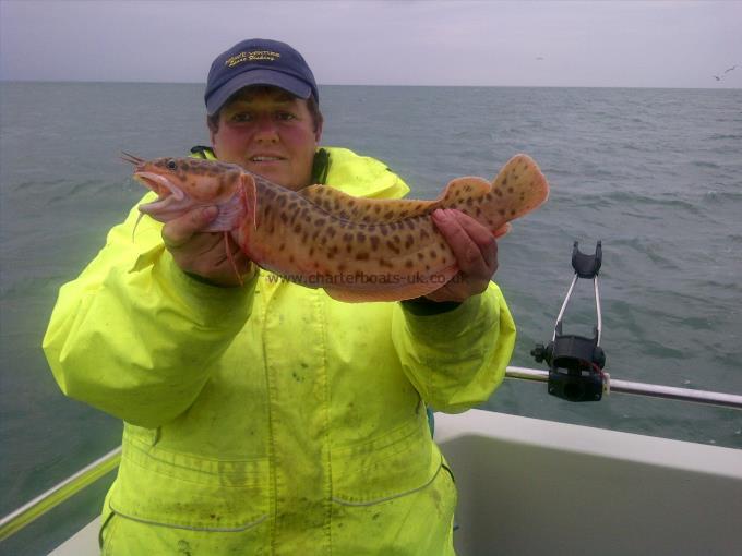 3 lb 2 oz Three bearded rockling by Andrea