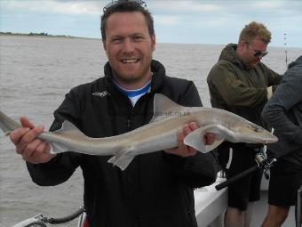 4 lb 5 oz Starry Smooth-hound by Carl Knights