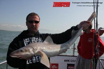 11 lb Starry Smooth-hound by Nai