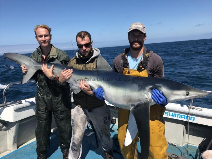 130 lb Blue Shark by Kevin McKie