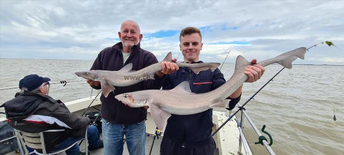 10 lb 3 oz Smooth-hound (Common) by Jordan