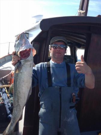 15 lb 7 oz Pollock by michael atkinson