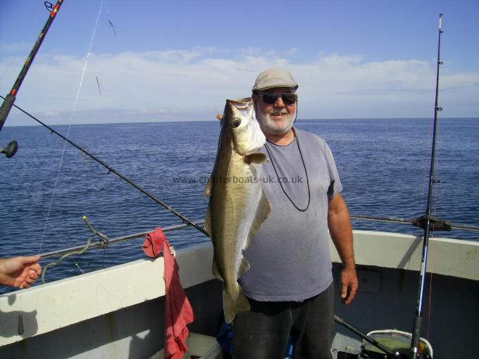 8 lb 12 oz Pollock by Andy