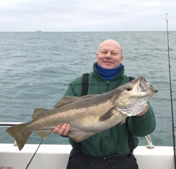 14 lb 5 oz Pollock by Bill Thorton