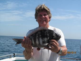 4 lb 2 oz Black Sea Bream by Unknown