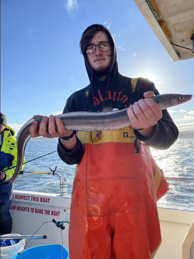 2 lb 5 oz Conger Eel by Charlie Ward. (Son)