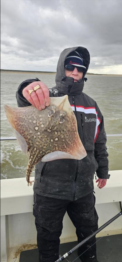 3 lb Thornback Ray by Paul