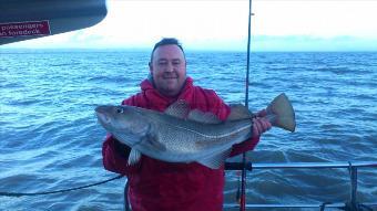 12 lb Cod by david jones