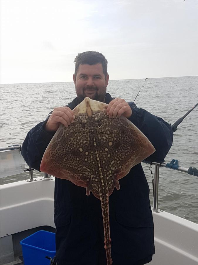 5 lb Thornback Ray by Ian Blyth