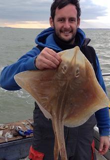 5 lb Small-Eyed Ray by John Wardropper