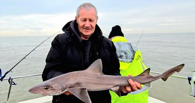 7 lb 2 oz Smooth-hound by Kevin