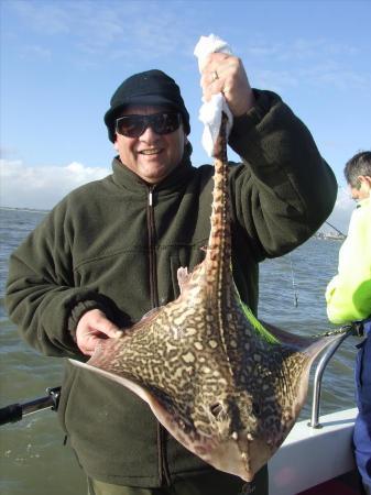 11 lb 2 oz Thornback Ray by lyndon