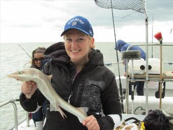 3 lb Smooth-hound by Breanna.