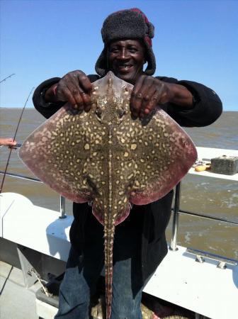 6 lb 2 oz Thornback Ray by Veer