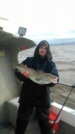 6 lb Cod by steve