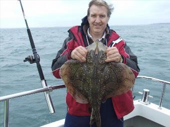 12 lb 8 oz Undulate Ray by Ged