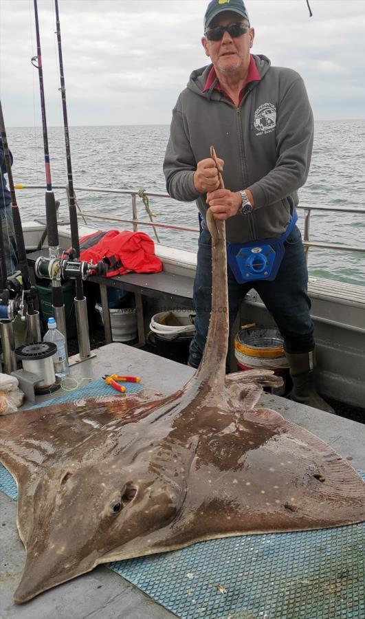 106 lb Common Skate by Unknown