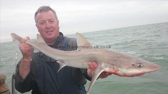 6 lb 5 oz Starry Smooth-hound by john from Kent