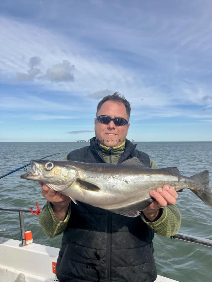 3 lb 12 oz Pollock by Chris