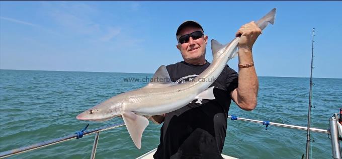 11 lb Smooth-hound by Dave