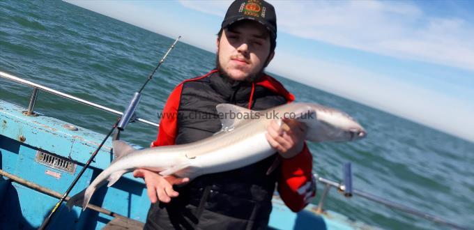 10 lb Smooth-hound (Common) by Barry's party