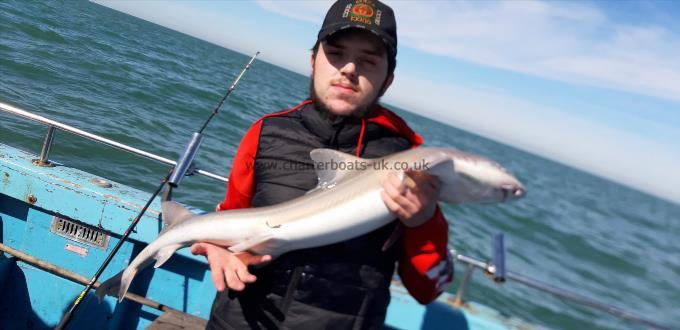10 lb Smooth-hound by Barry's party