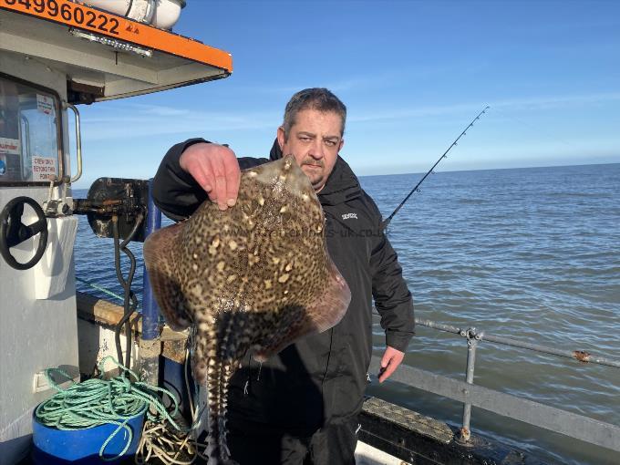 7 lb Thornback Ray by Unknown