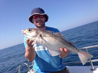 4 lb 6 oz Haddock by Aled Daniels