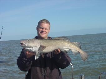 12 lb 8 oz Cod by Simon